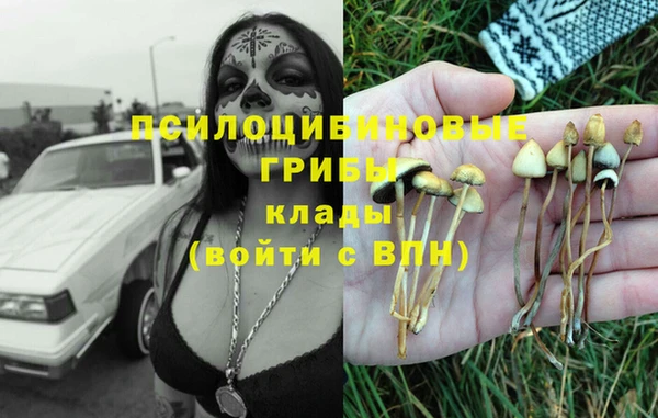 крисы Вязьма