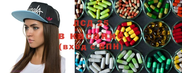 крисы Вязьма
