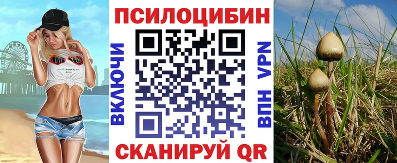Галлюциногенные грибы MAGIC MUSHROOMS Купить где Минусинск